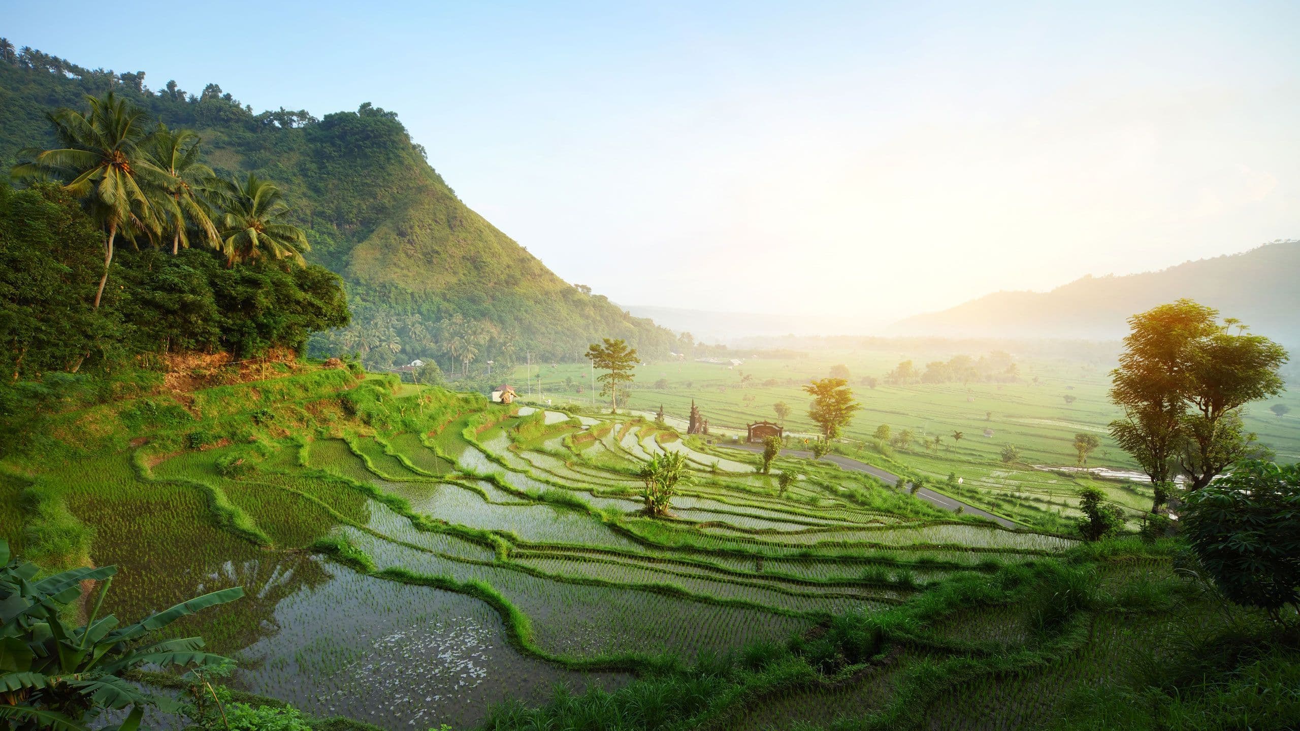 Ubud