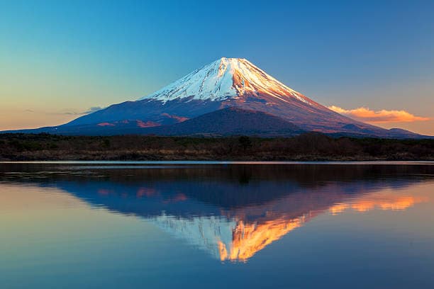 Mt. Fuji